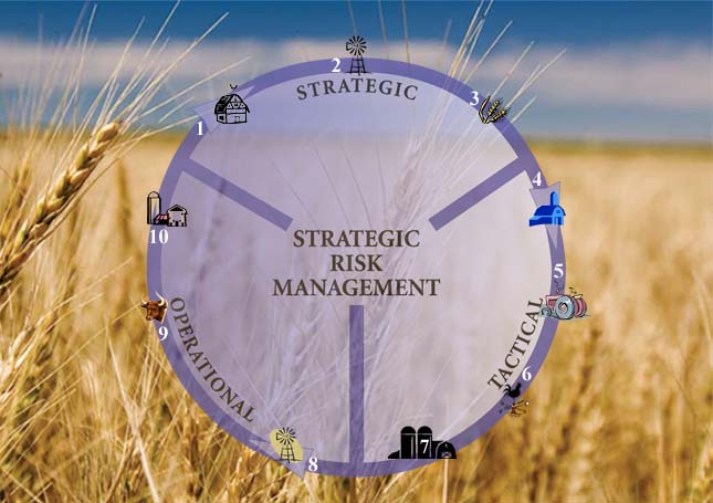 SRMP Wheatfield With Wheel and Steps